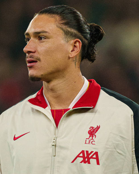 大放异彩 大放异彩